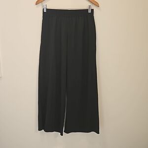 Toad & Co wide leg pants, Black (S)
